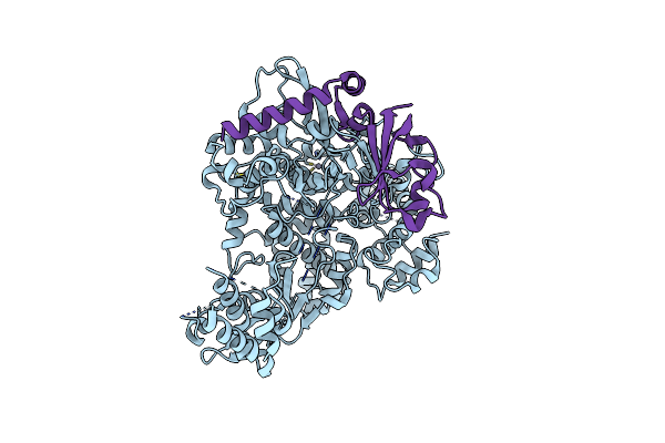 6NUS image