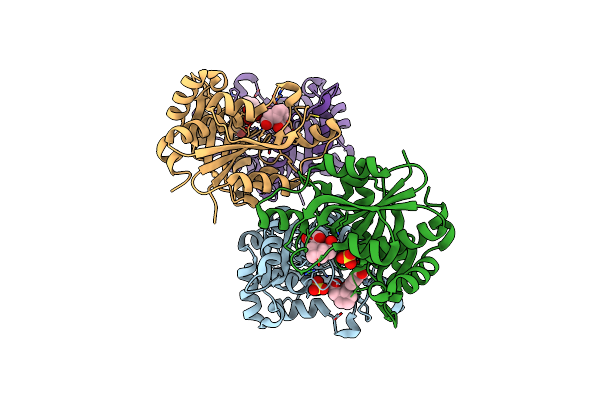 6NVC image