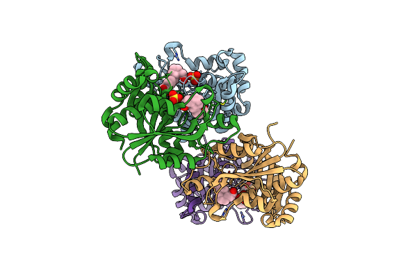 6NVF image
