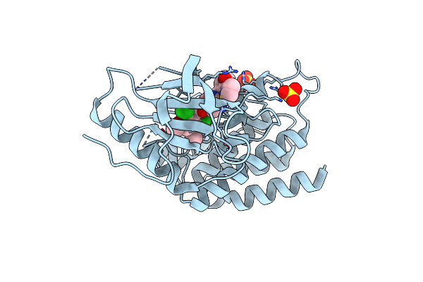 6NVH image