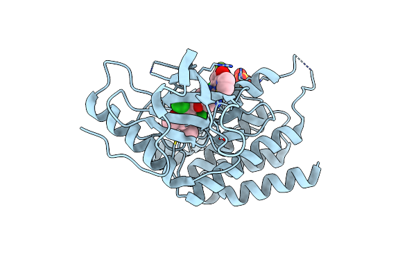 6NVI image