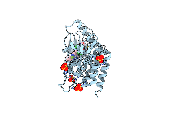 6NVJ image