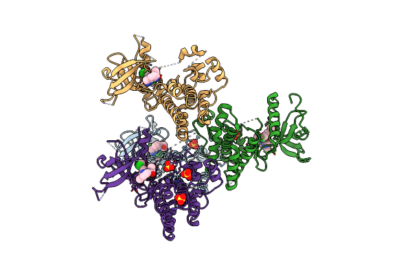 6NVL image