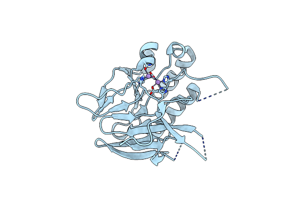 6NVO image