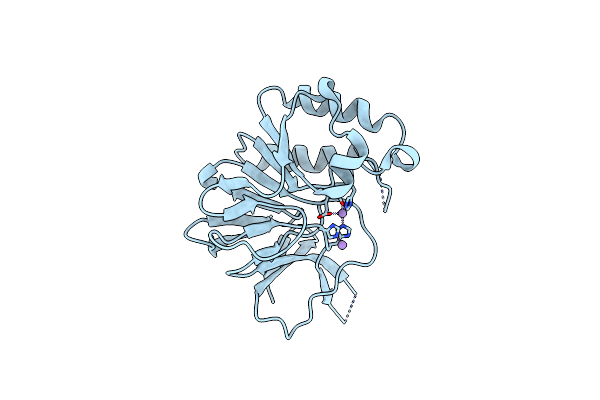 6NVP image