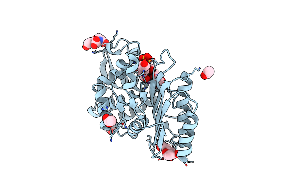 6NVU image