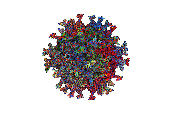 6NXE image