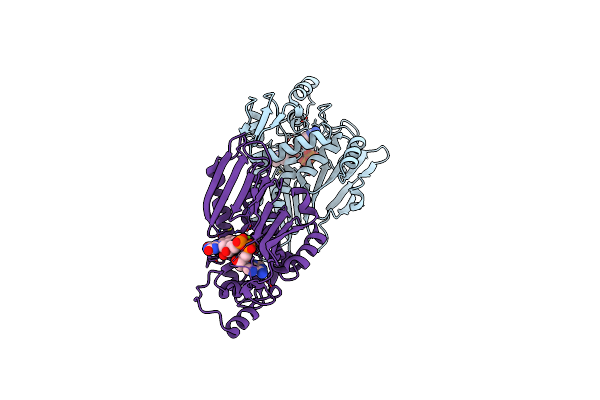 6NXJ image