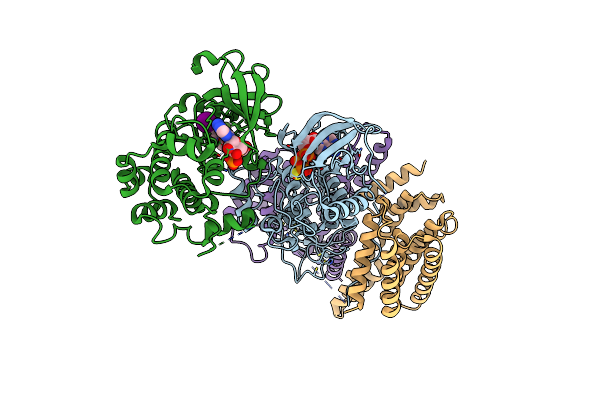 6NYB image