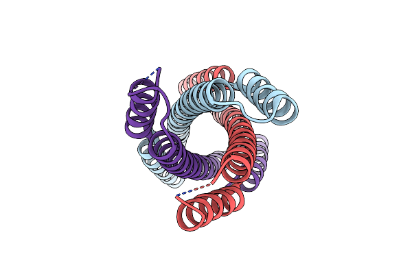 6NYK image