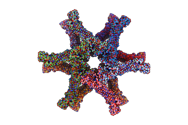 6NYL image