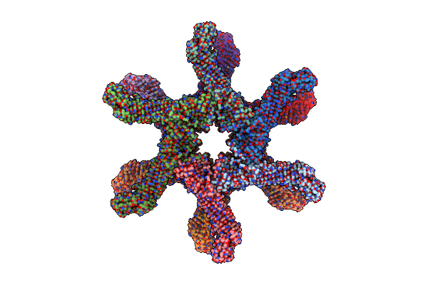 6NYN image