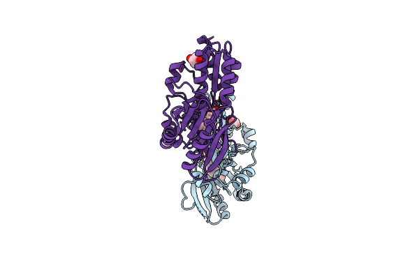 6NYU image