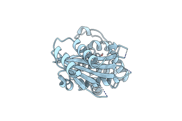 6NZ8 image