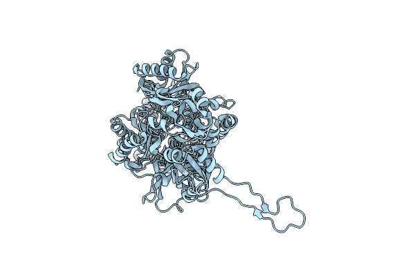 6NZI image