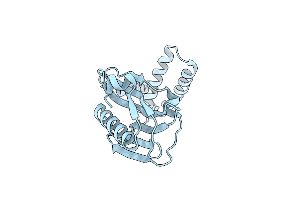 6O01 image