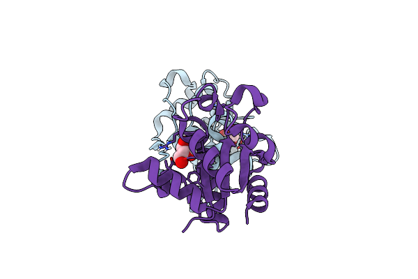 6O0R image