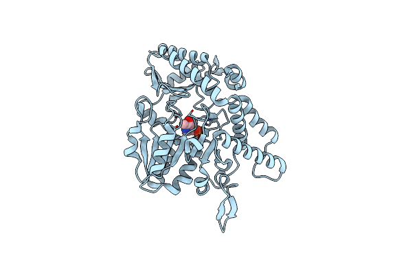6O12 image