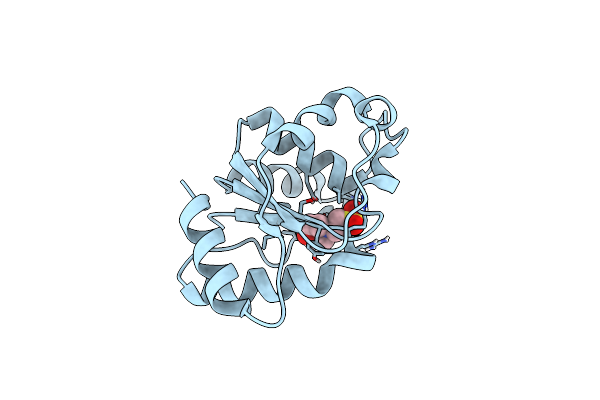6O1B image