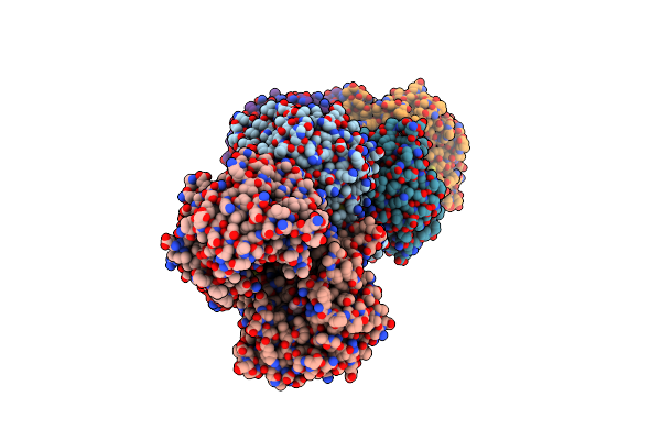 6O1C image
