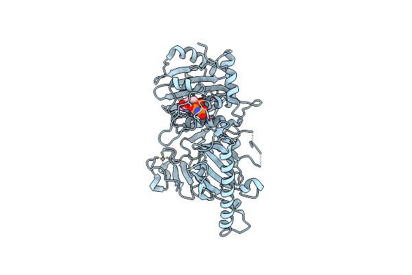 6O1E image