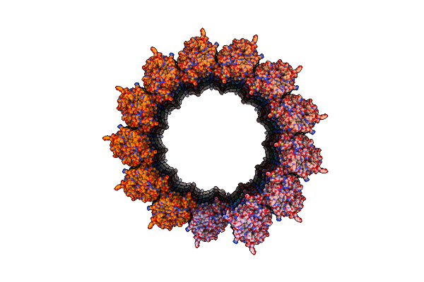 6O2T image