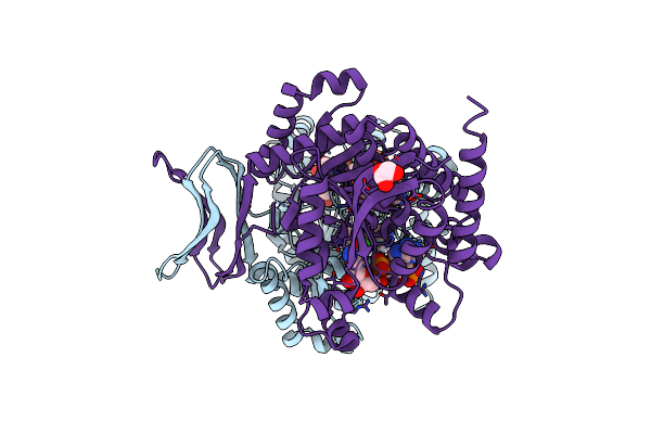 6O2Z image