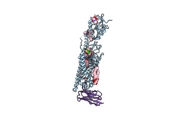6O3C image