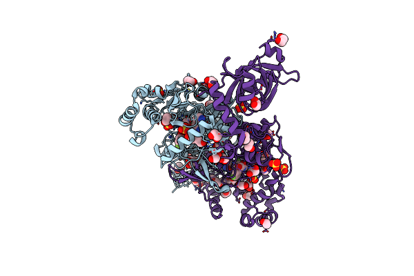 6O3F image