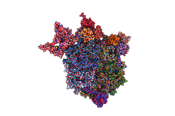 6O3H image