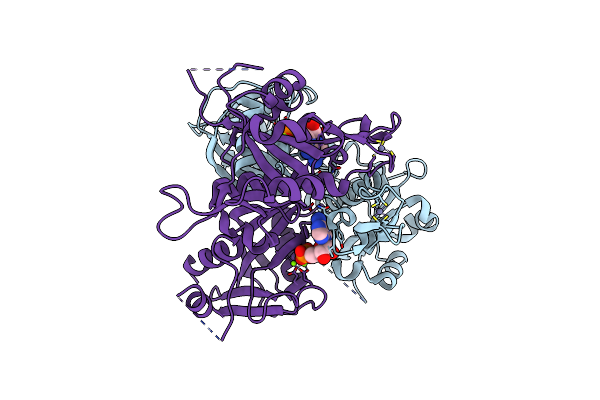6O3P image