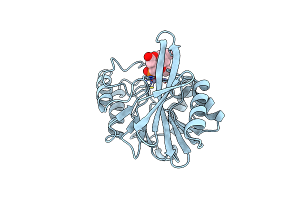 6O3R image