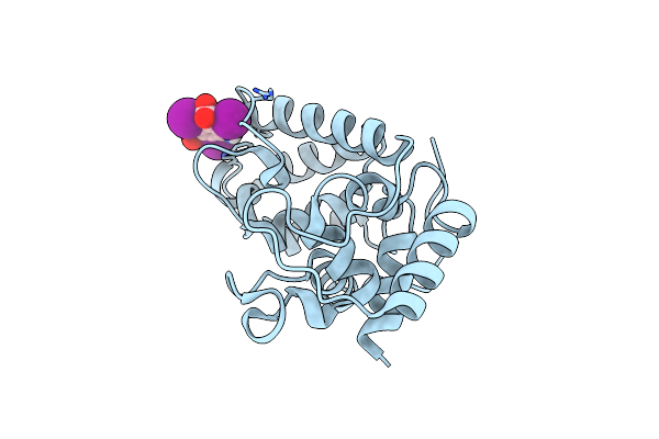 6O43 image