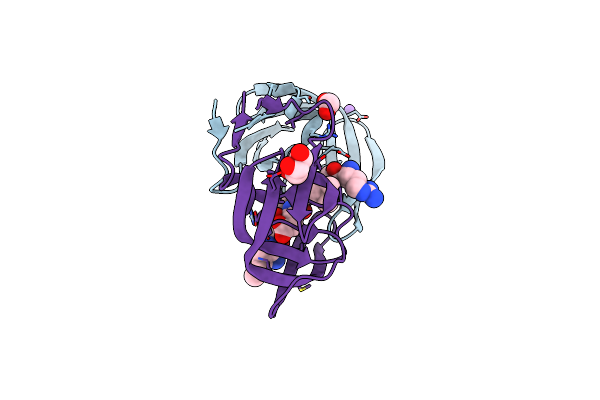 6O48 image