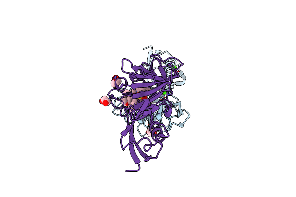 6O49 image