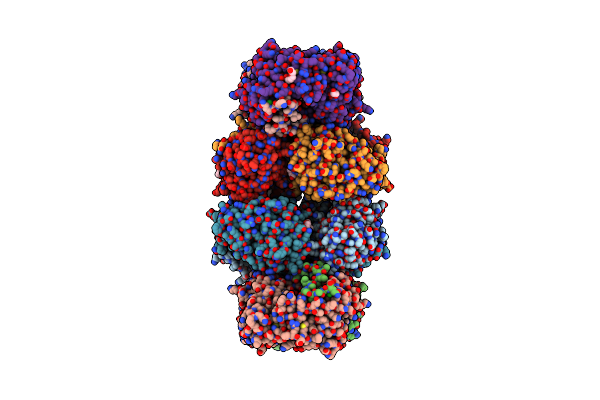 6O4C image