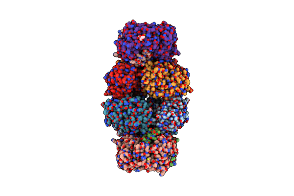 6O4D image
