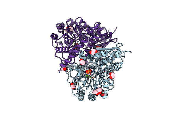 6O4N image
