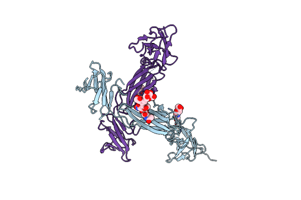 6O4P image