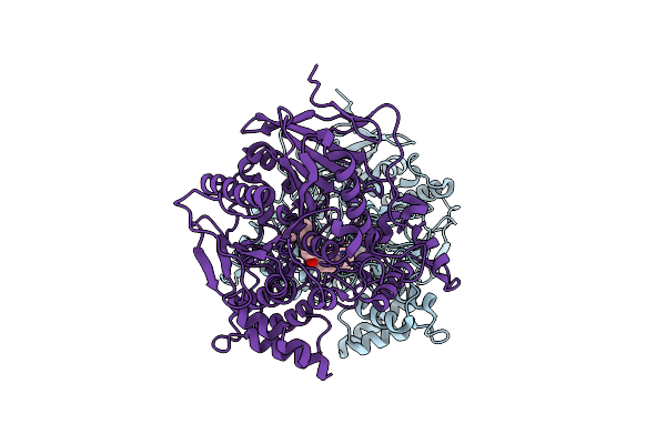 6O52 image