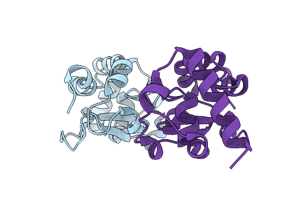 6O56 image