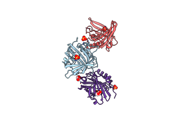 6O5D image