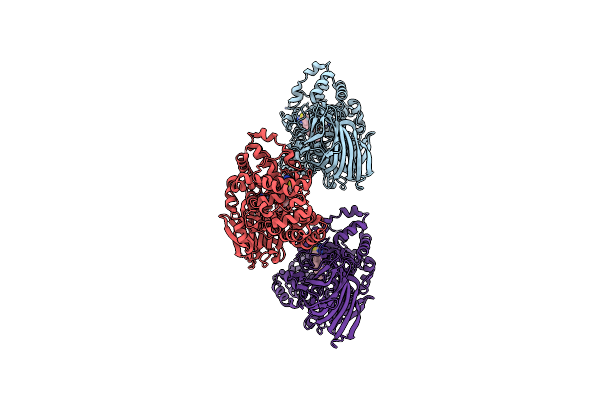 6O5H image