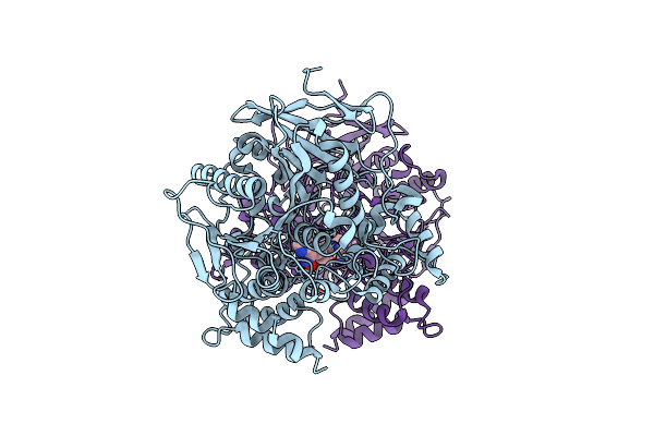6O5R image