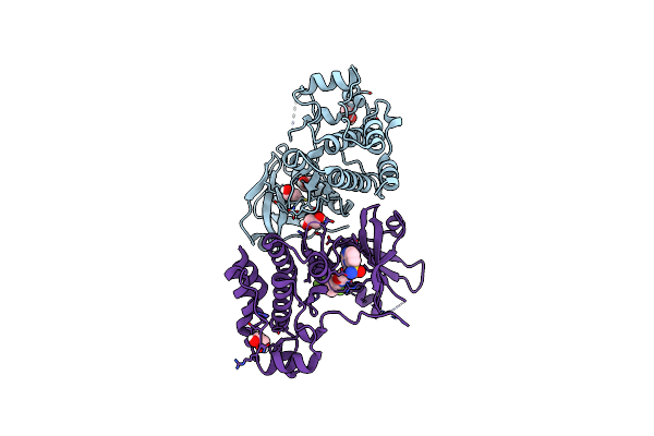 6O5Z image