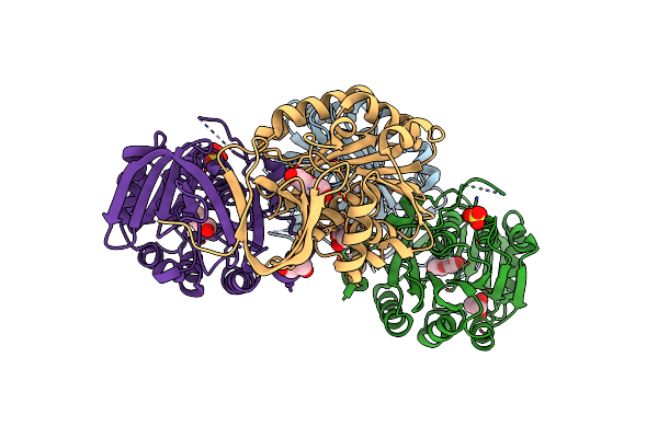 6O63 image