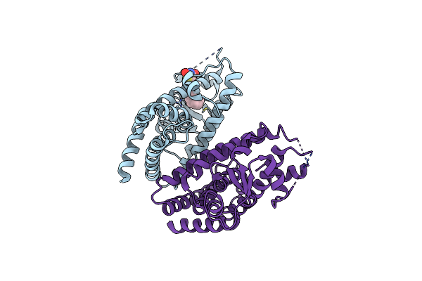 6O68 image