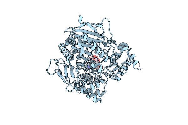 6O69 image
