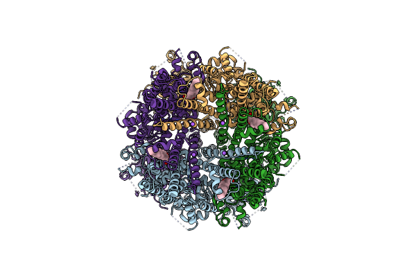 6O6A image