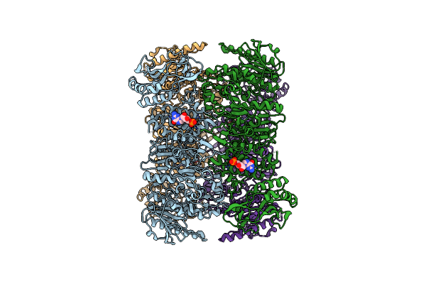 6O6B image